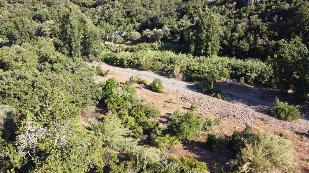 Casa de campo-Masía en Venta en Benarraba Málaga - foto 4