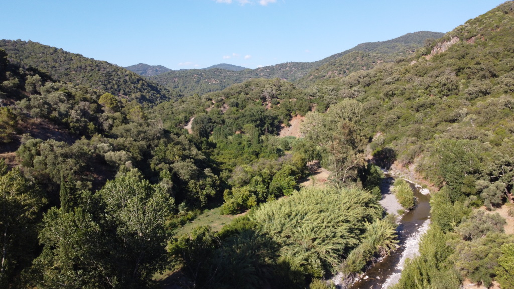 Casa de campo-Masía en Venta en Benarraba Málaga - foto 5