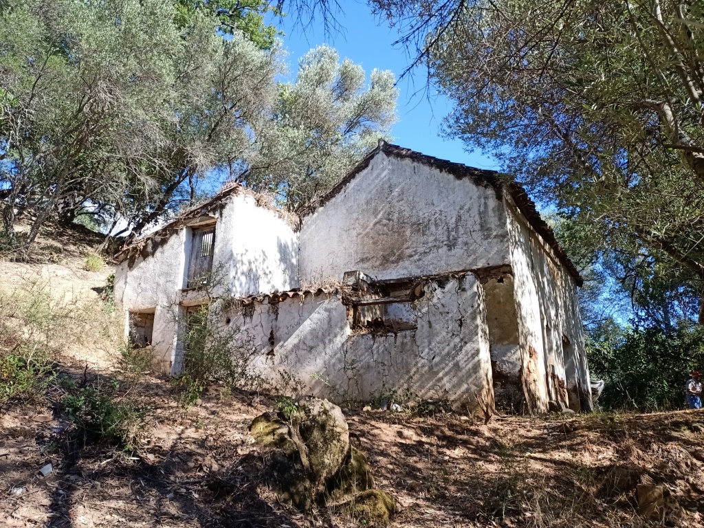 Casa de campo-Masía en Venta en Benarraba Málaga - foto 7