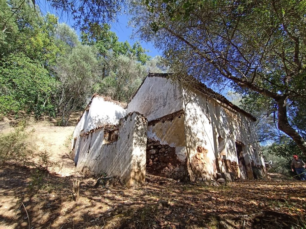 Casa de campo-Masía en Venta en Benarraba Málaga - foto 8