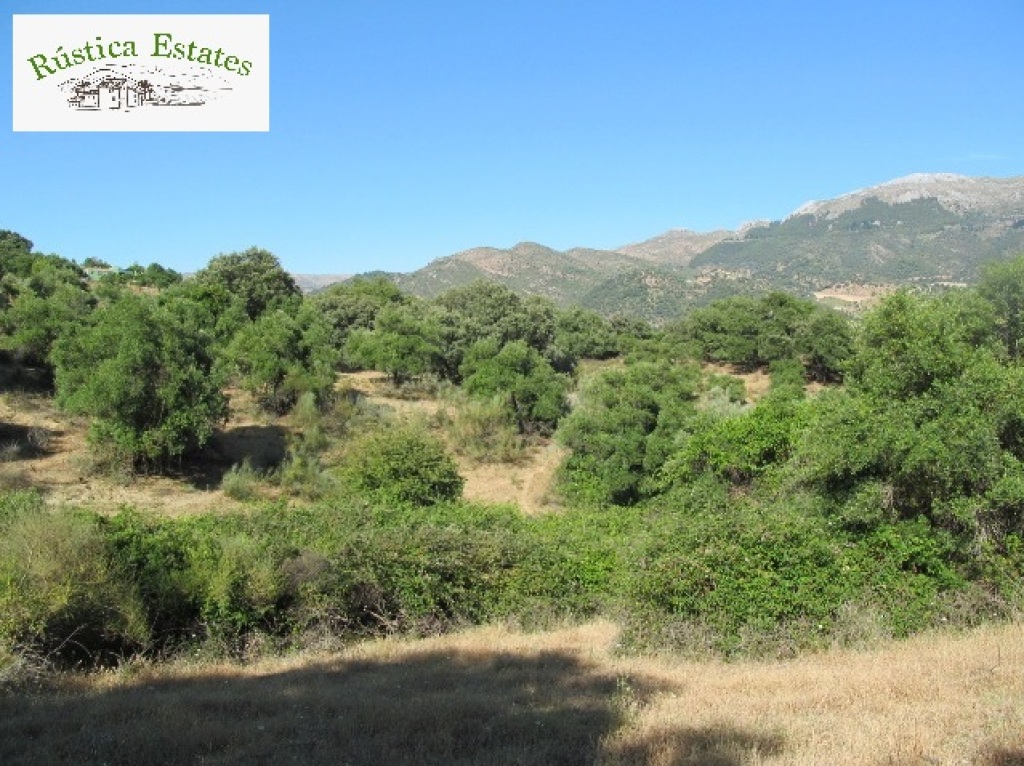 Parcela en Venta en Cortes De La Frontera Málaga