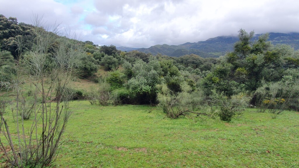 Parcela en Venta en Cortes De La Frontera Málaga - foto 16