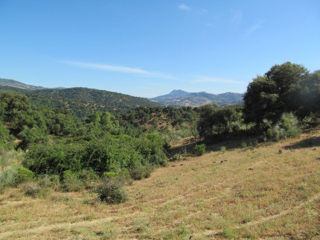 Parcela en Venta en Cortes De La Frontera Málaga - foto 18