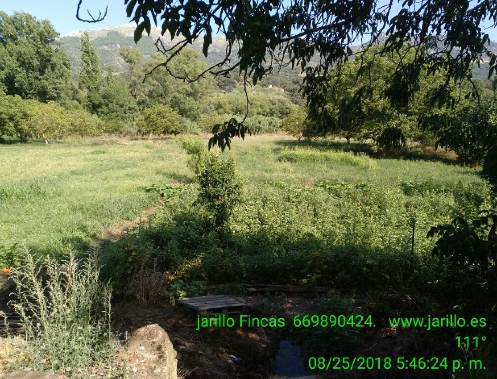 Casa de campo-Masía en Venta en Cortes De La Frontera Málaga