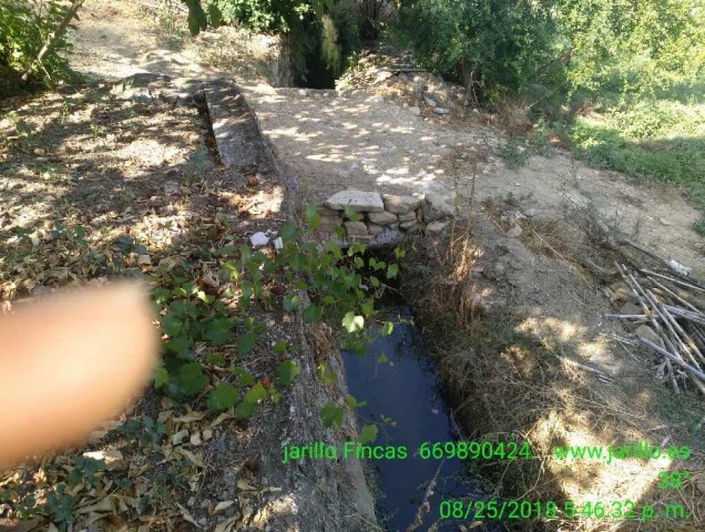 Casa de campo-Masía en Venta en Cortes De La Frontera Málaga - foto 2