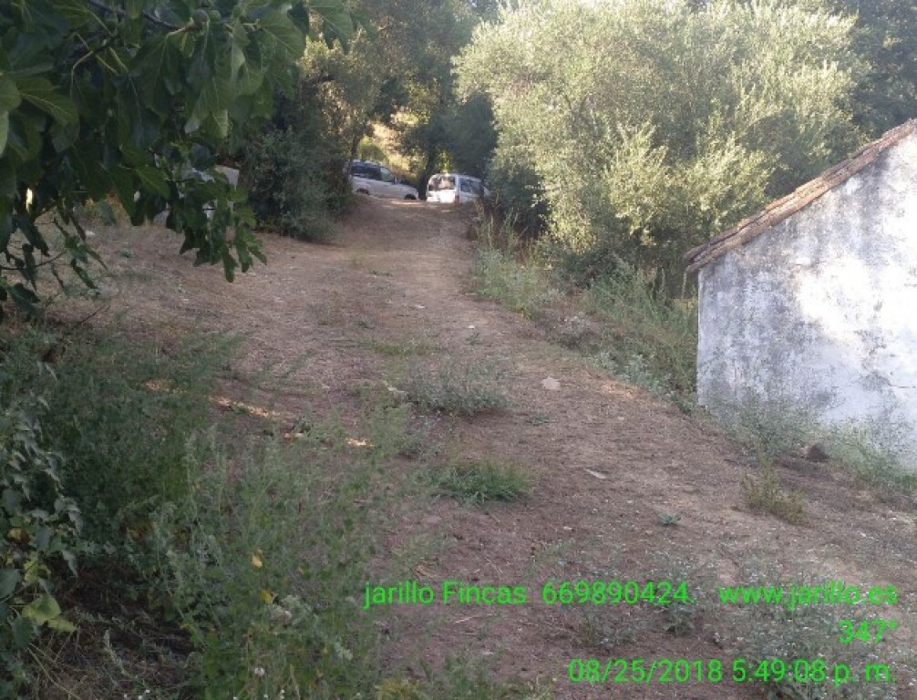 Casa de campo-Masía en Venta en Cortes De La Frontera Málaga - foto 11