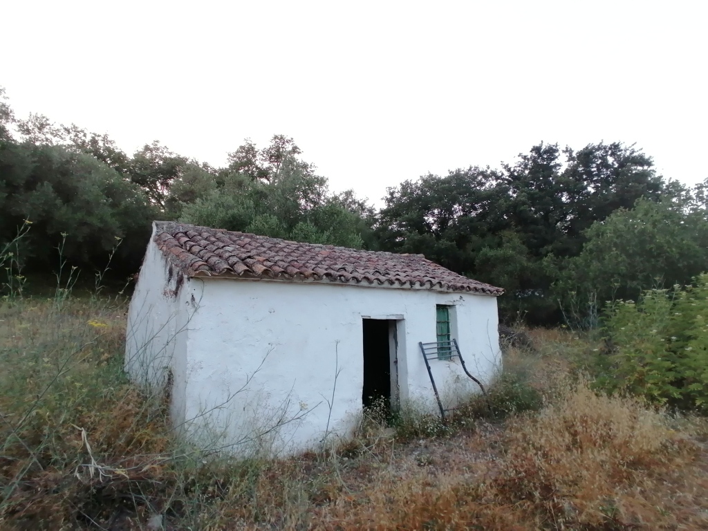 Casa de campo-Masía en Venta en Cortes De La Frontera Málaga - foto 19