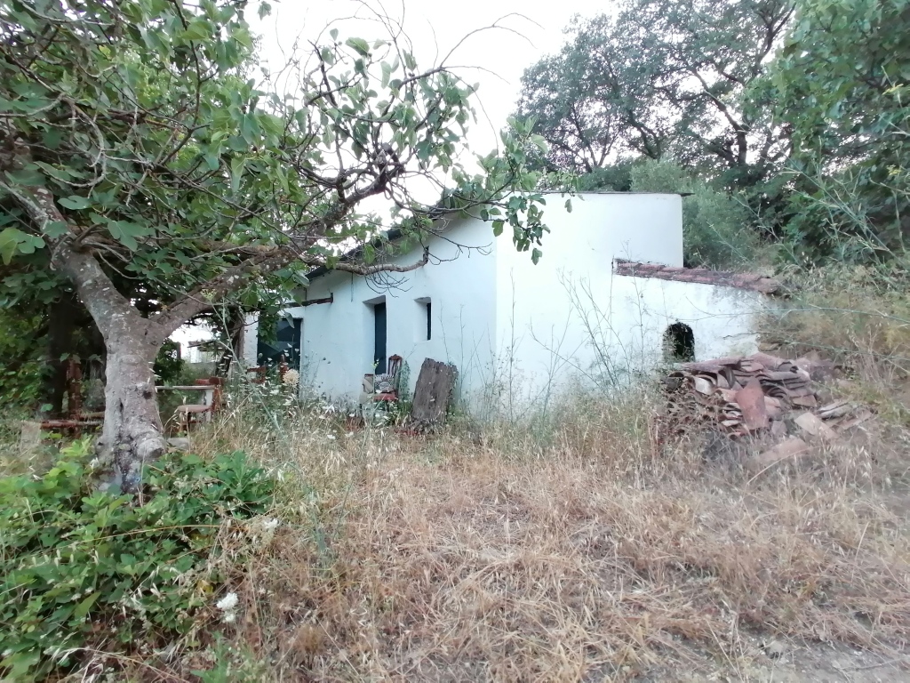 Casa de campo-Masía en Venta en Cortes De La Frontera Málaga - foto 20