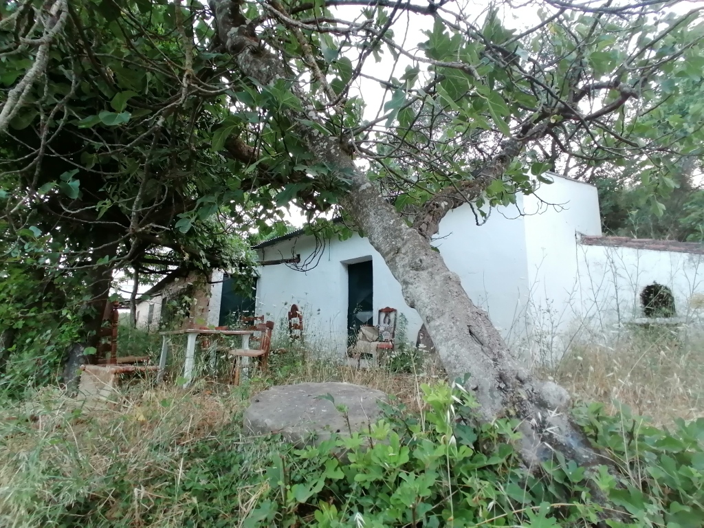 Casa de campo-Masía en Venta en Cortes De La Frontera Málaga - foto 21