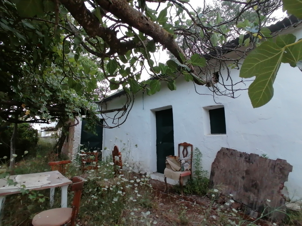 Casa de campo-Masía en Venta en Cortes De La Frontera Málaga - foto 23