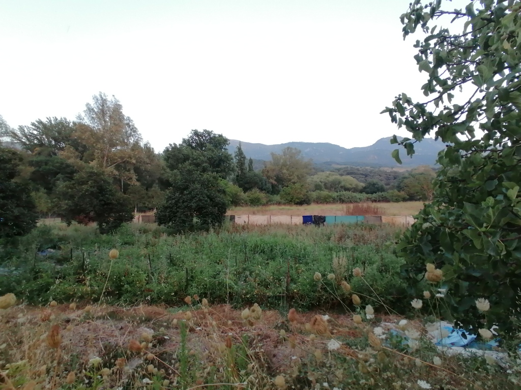 Casa de campo-Masía en Venta en Cortes De La Frontera Málaga - foto 28
