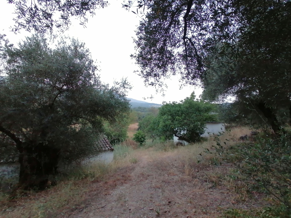 Casa de campo-Masía en Venta en Cortes De La Frontera Málaga - foto 32