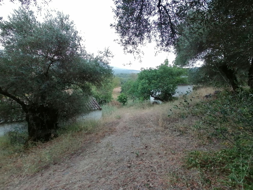 Casa de campo-Masía en Venta en Cortes De La Frontera Málaga - foto 33