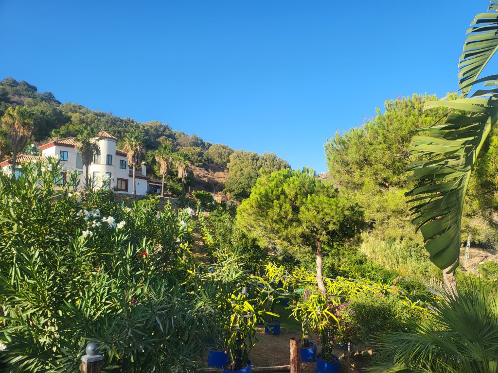 Casa-Chalet en Venta en Estepona Málaga - foto 2
