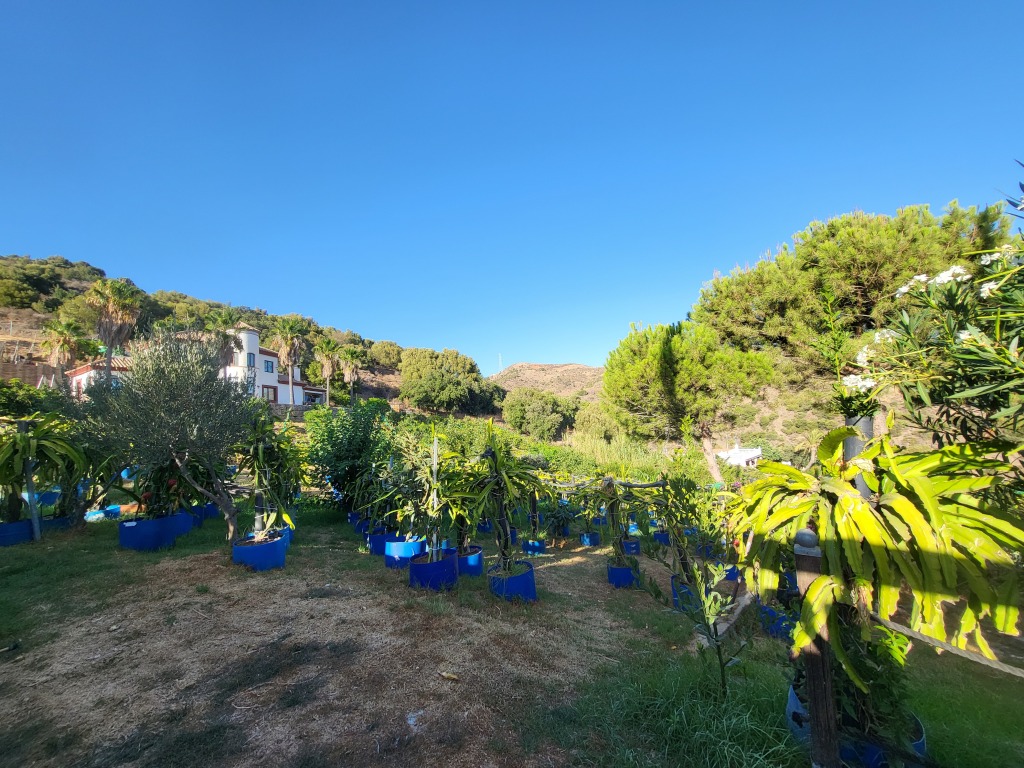 Casa-Chalet en Venta en Estepona Málaga - foto 4