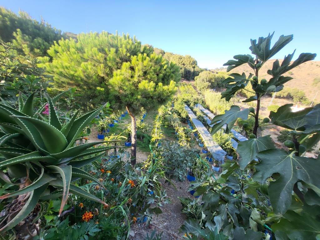 Casa-Chalet en Venta en Estepona Málaga - foto 36