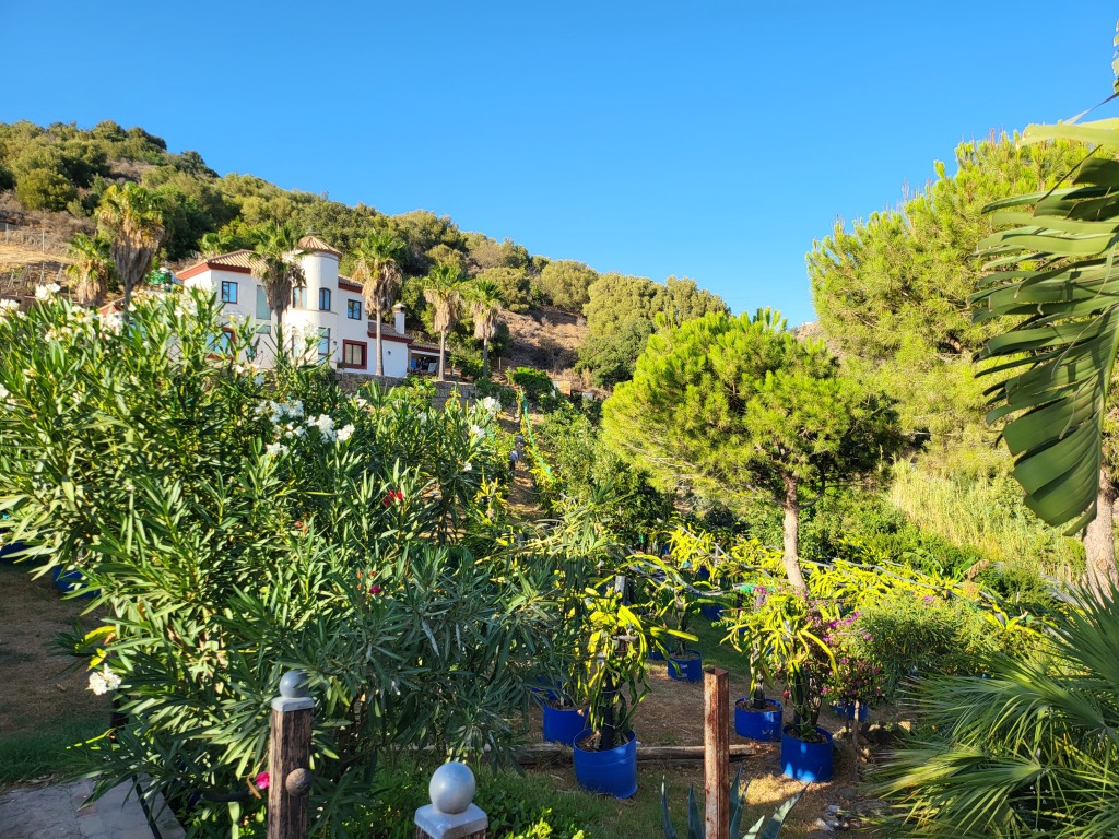 Casa-Chalet en Venta en Estepona Málaga - foto 44