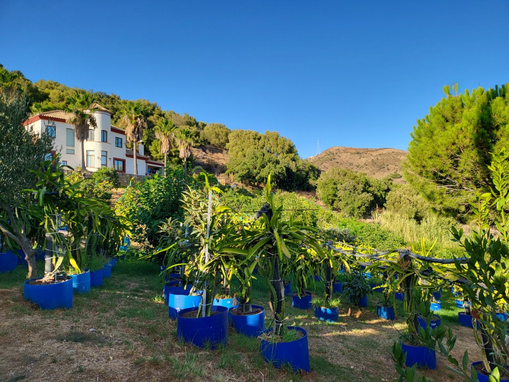 Casa-Chalet en Venta en Estepona Málaga - foto 49