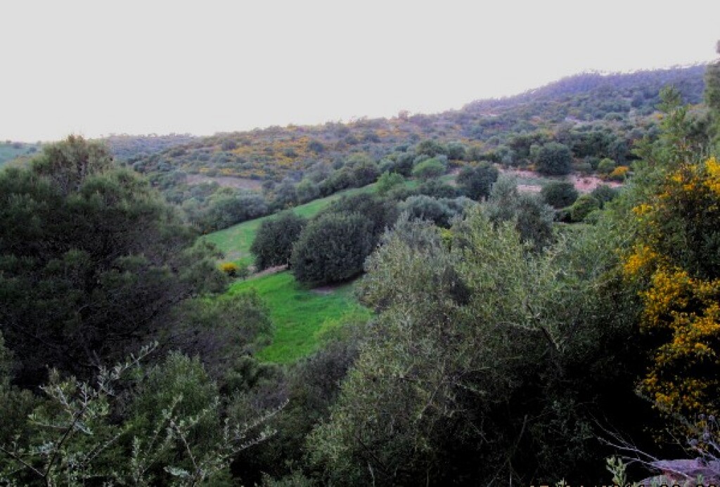 Casa de campo-Masía en Venta en Gaucín Málaga - foto 11