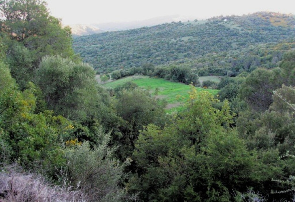 Casa de campo-Masía en Venta en Gaucín Málaga - foto 12