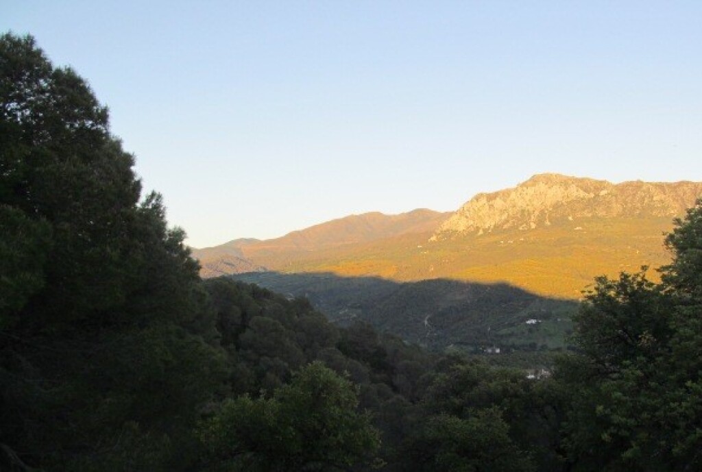 Casa de campo-Masía en Venta en Gaucín Málaga - foto 13