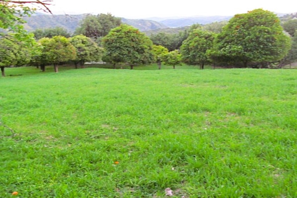 Casa de campo-Masía en Venta en Gaucín Málaga - foto 19