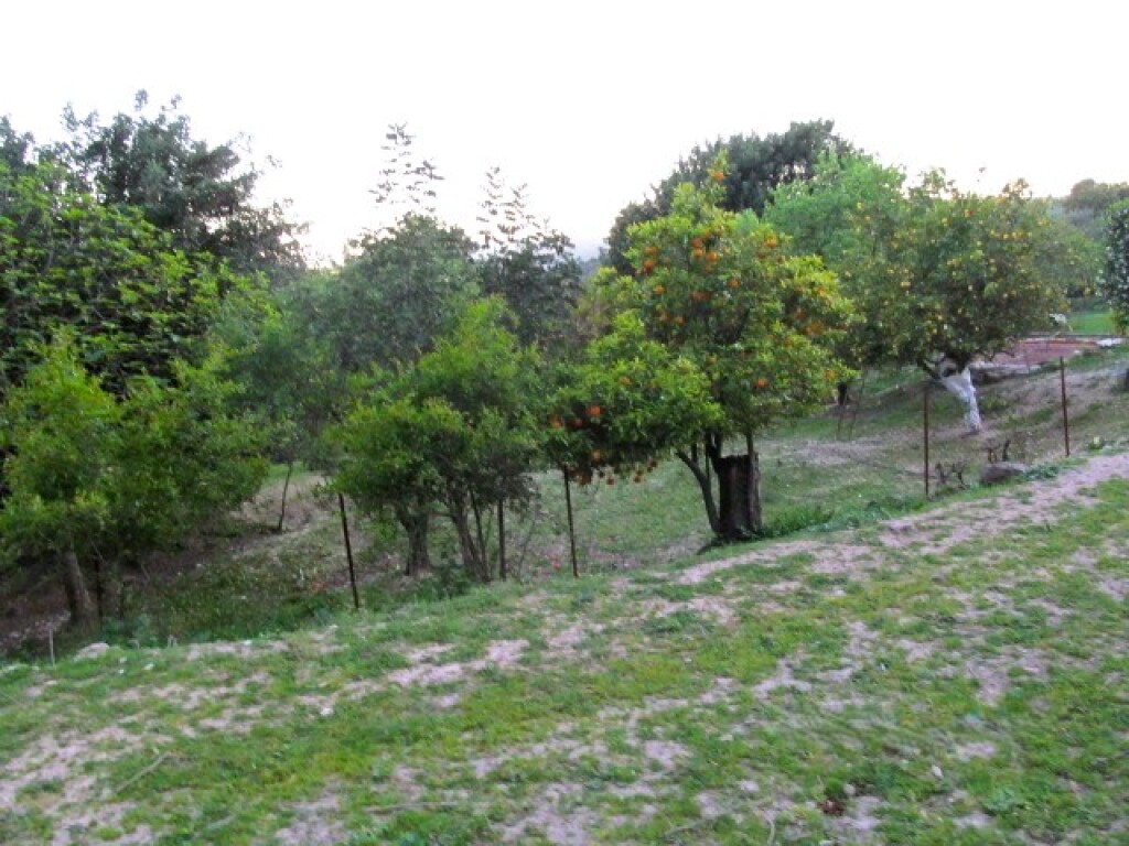 Casa de campo-Masía en Venta en Gaucín Málaga - foto 9