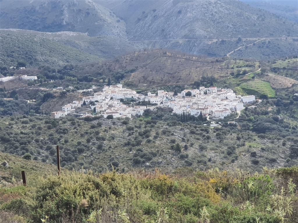 Casa de campo-Masía en Venta en Parauta Málaga - foto 12