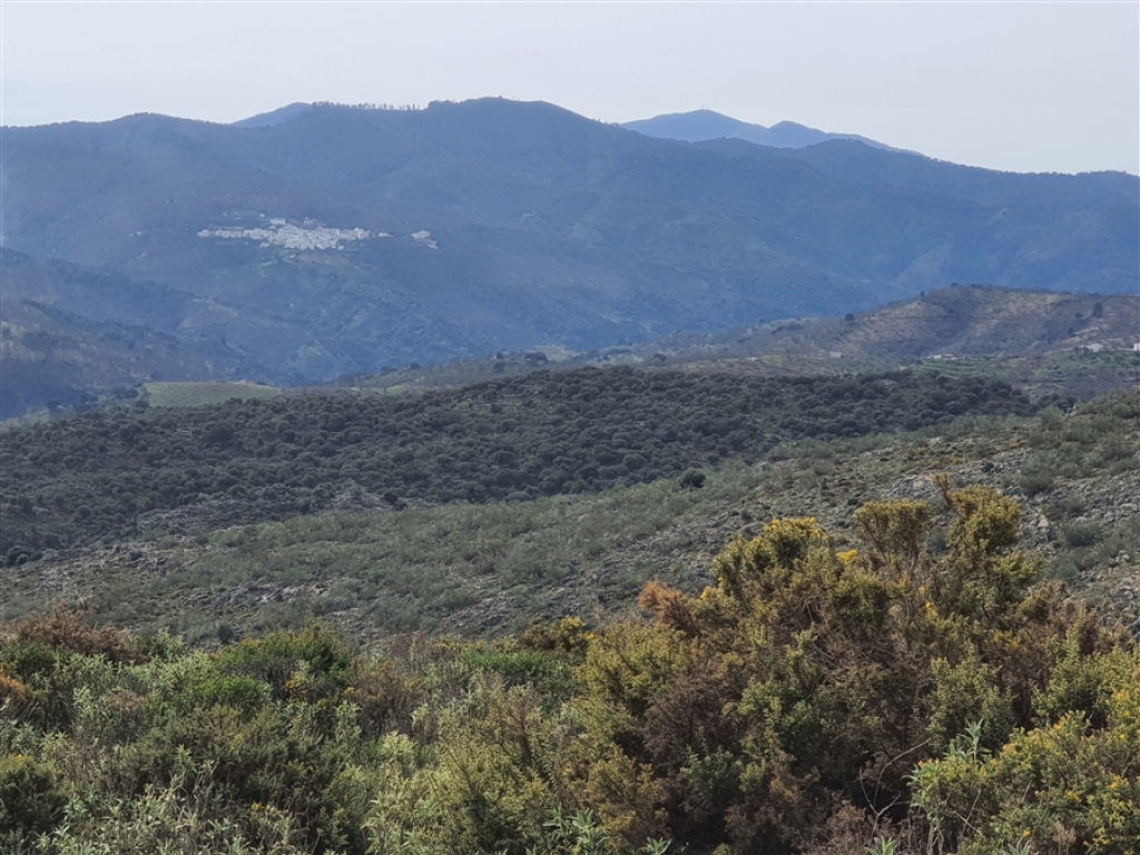 Casa de campo-Masía en Venta en Parauta Málaga - foto 13