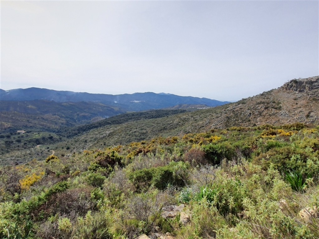Casa de campo-Masía en Venta en Parauta Málaga - foto 14