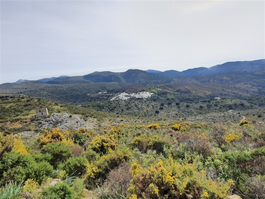 Casa de campo-Masía en Venta en Parauta Málaga - foto 15