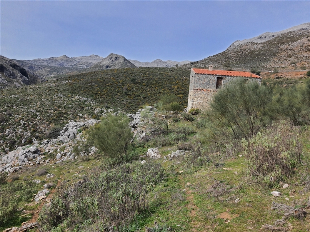 Casa de campo-Masía en Venta en Parauta Málaga - foto 21