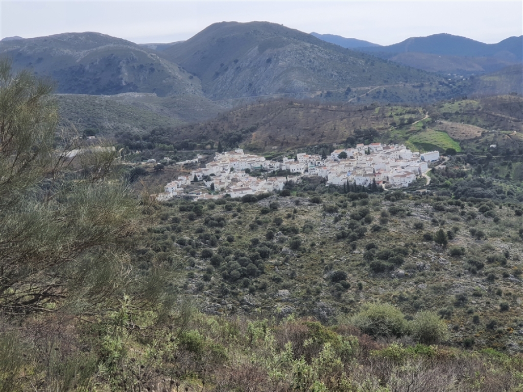 Casa de campo-Masía en Venta en Parauta Málaga - foto 22