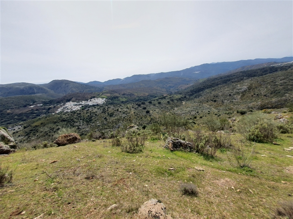 Casa de campo-Masía en Venta en Parauta Málaga - foto 28