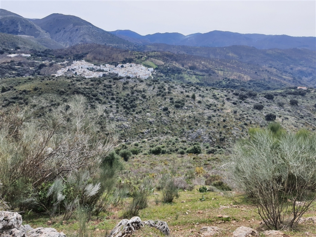 Casa de campo-Masía en Venta en Parauta Málaga - foto 34