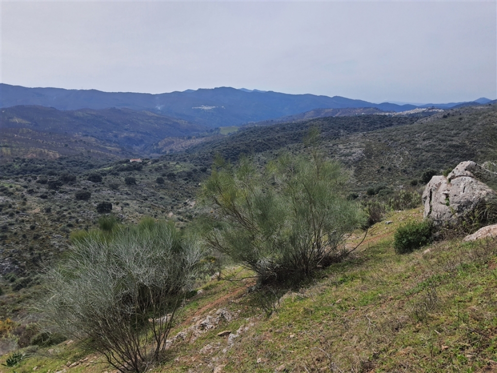 Casa de campo-Masía en Venta en Parauta Málaga - foto 35