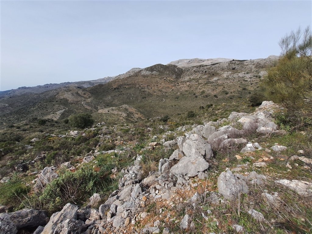 Casa de campo-Masía en Venta en Parauta Málaga - foto 36