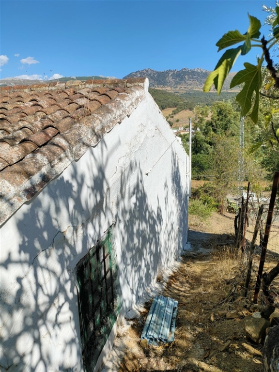 Casa de campo-Masía en Venta en Cortes De La Frontera Málaga - foto 13