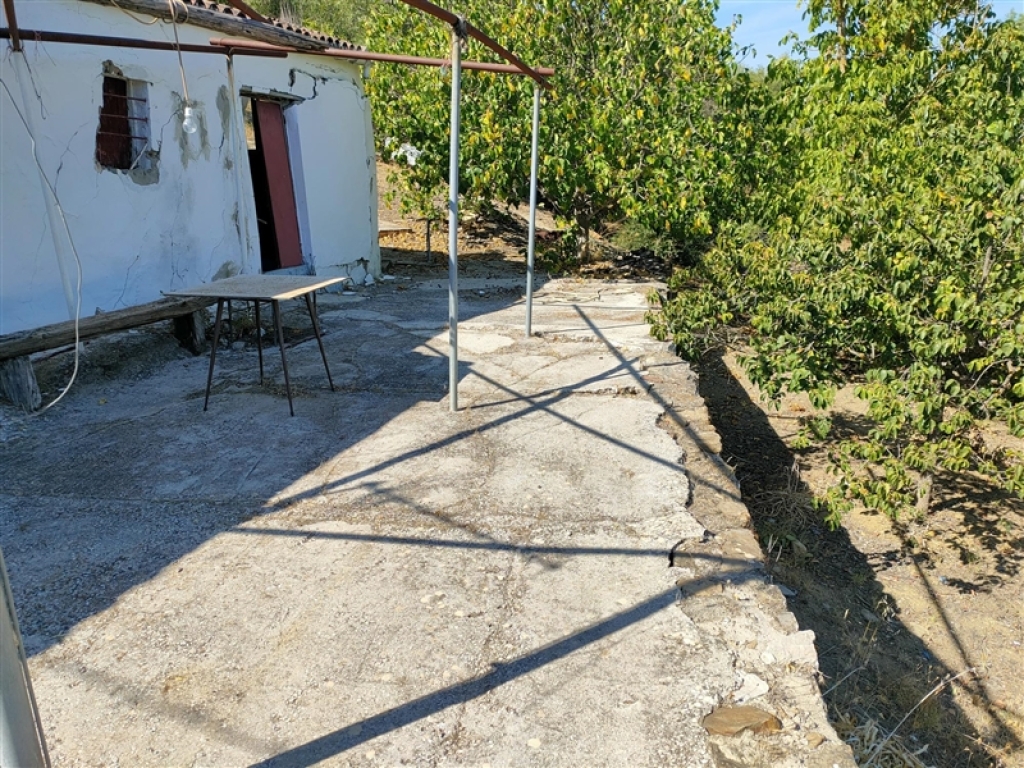 Casa de campo-Masía en Venta en Cortes De La Frontera Málaga - foto 7