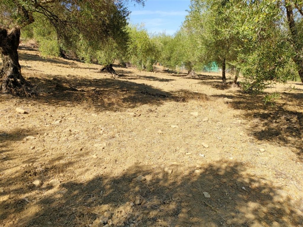 Casa de campo-Masía en Venta en Cortes De La Frontera Málaga - foto 10