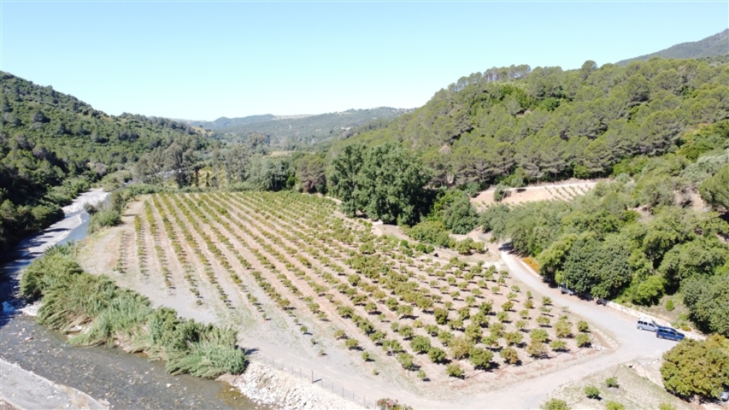 Casa de campo-Masía en Venta en Gaucín Málaga - foto 2