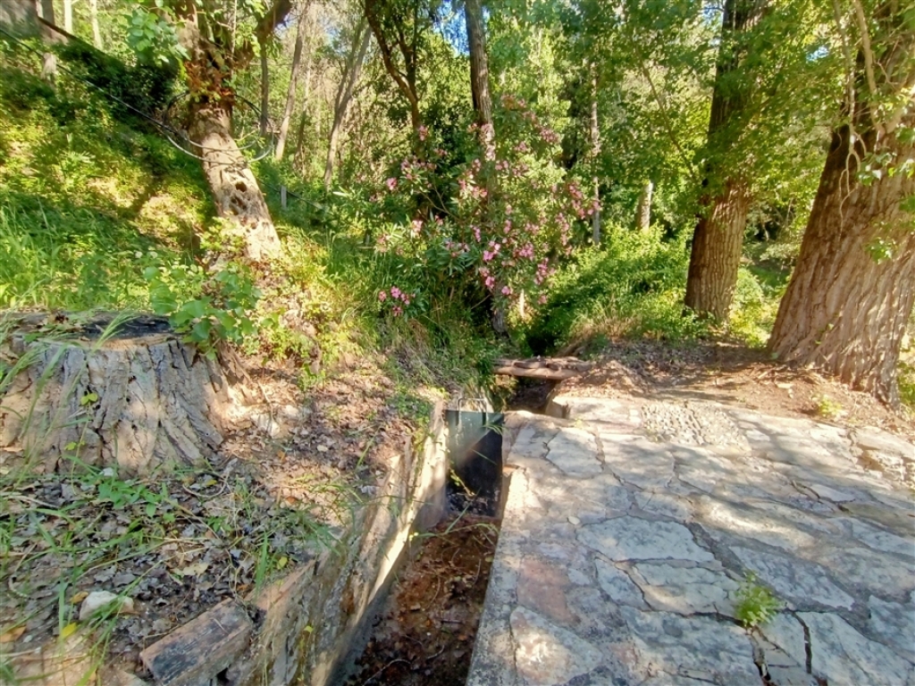 Casa de campo-Masía en Venta en Gaucín Málaga - foto 27
