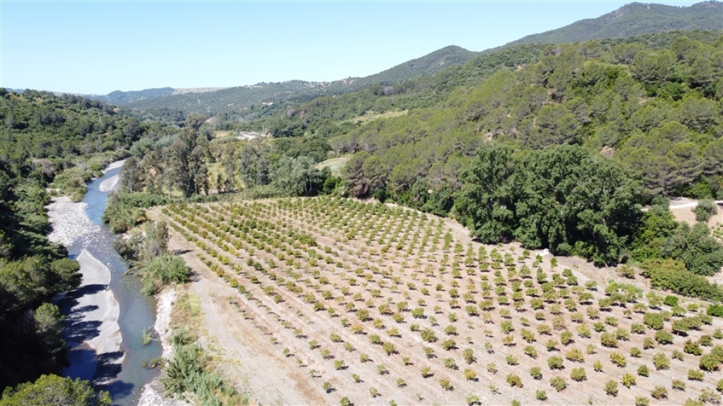 Casa de campo-Masía en Venta en Gaucín Málaga - foto 4
