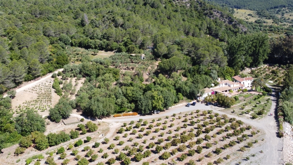 Casa de campo-Masía en Venta en Gaucín Málaga - foto 5
