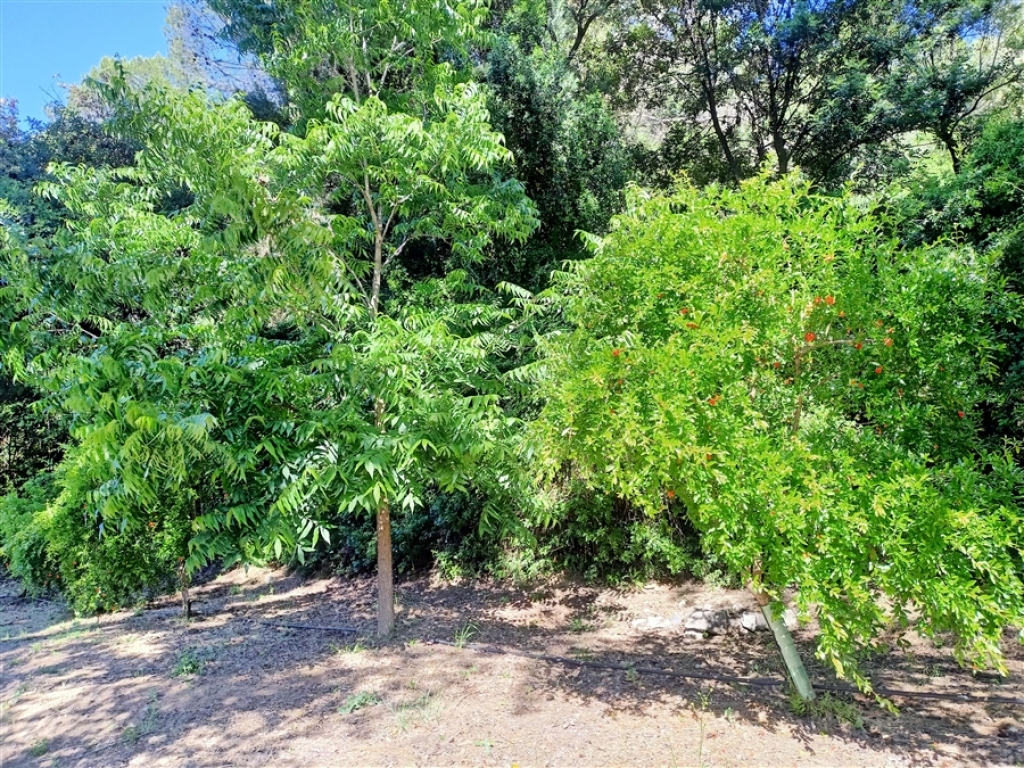 Casa de campo-Masía en Venta en Gaucín Málaga - foto 51