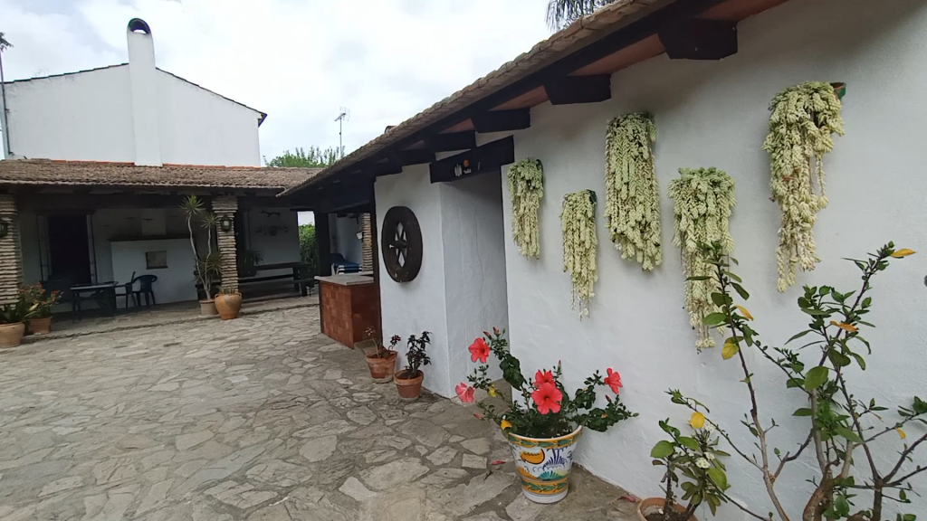 Casa de campo-Masía en Venta en Jimena De La Frontera Cádiz - foto 22