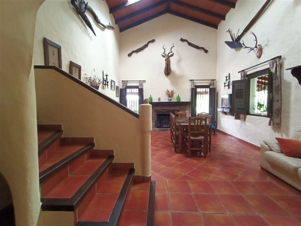 Casa de campo-Masía en Venta en Jimena De La Frontera Cádiz - foto 29
