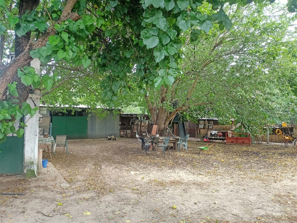 Casa de campo-Masía en Venta en Jimena De La Frontera Cádiz - foto 45