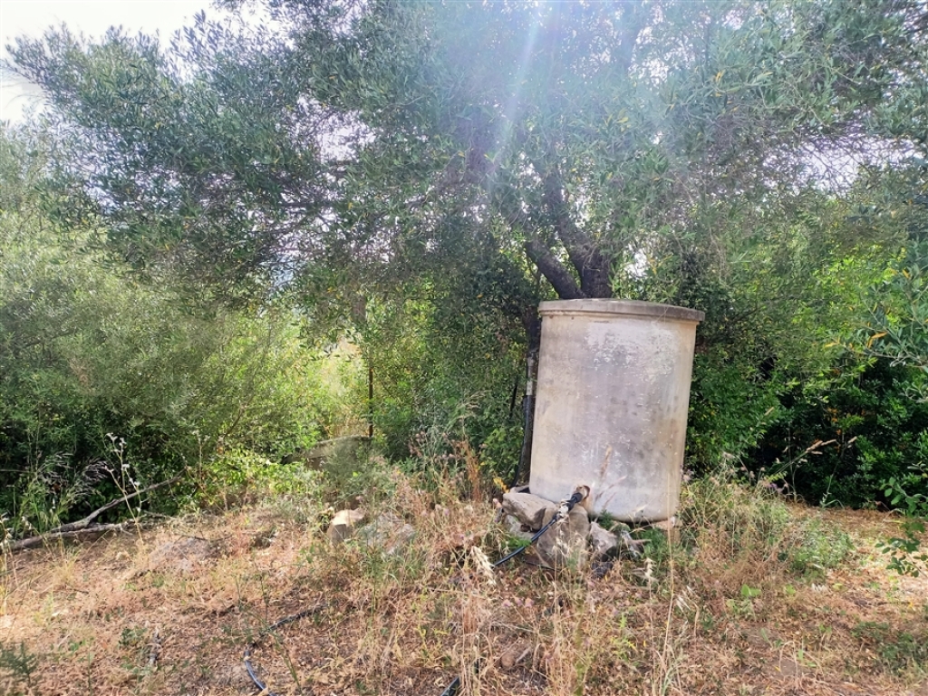 Casa de campo-Masía en Venta en Jimena De La Frontera Cádiz - foto 54