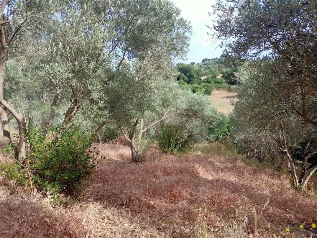 Casa de campo-Masía en Venta en Jimena De La Frontera Cádiz - foto 56